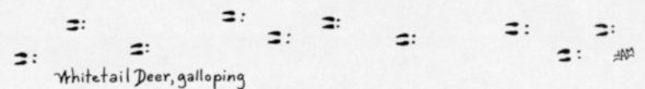TvIII-1pg13-3.jpg (5452 bytes)